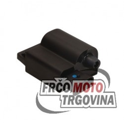 Ignition Coil with CDI Piaggio 50 4S-2V unlimited / Fly 100 4t