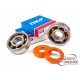 Crankshaft Bearing Set Stage6 R/T C3 polymer cage AM6