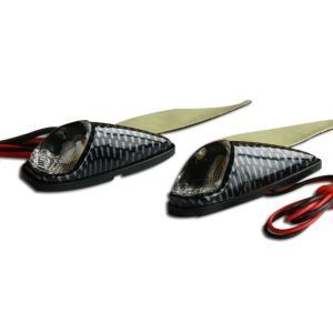 Smerniki "Perl'' Carbon E-pass