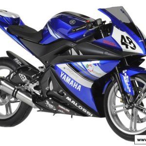 Izpuh Malossi GP MHR Replica (E) Yamaha YZF R 125 4T 2008-2013