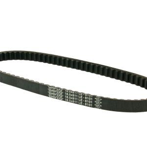 Jermen Dayco -Gilera / Piaggio (811x18.5mm)- dolg