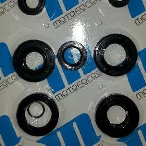 Set oljnih tesnil - MotoForce - AM6