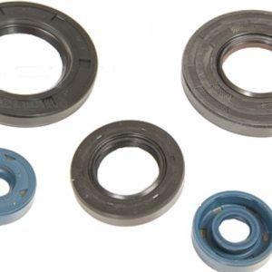 Oljna tesnila motorja Aprilia ROTAX 125 - 150 - 200 ATHENA