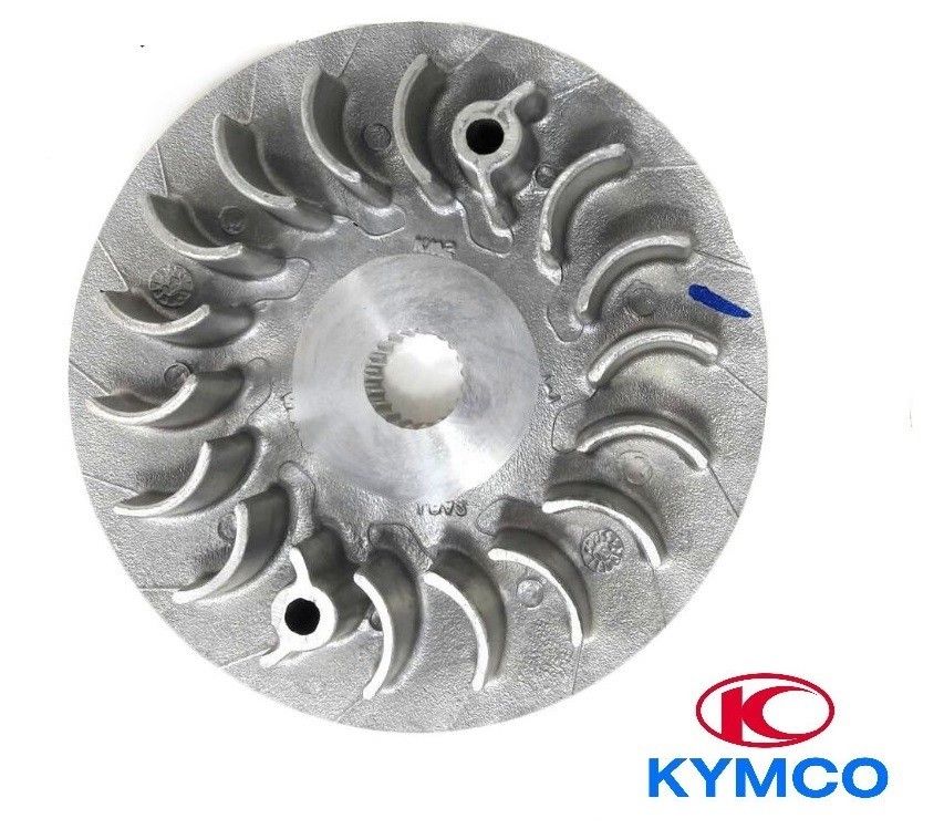 Jermenica variomata Kymco Maxxer 250 On Road / Off Road LA50BE , LA50BD