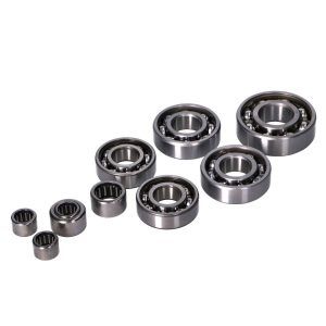 Komplet ležajev motorja AM6 - Naraku