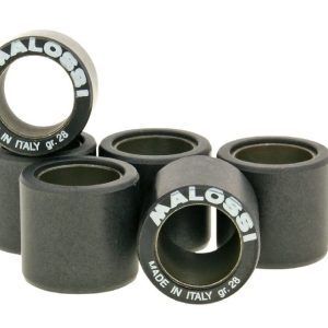 Uteži variomata Malossi HT 25x22mm - 20,0g