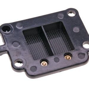 Sesalne lamele Racing Carbon -Minarelli Vertical