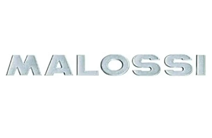 Nalepka Malossi Chrome -10cm