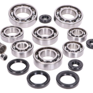 Komplet ležajev z oljnimi tesnili – ROTAX tip 123 do 1997 (2T, LC)