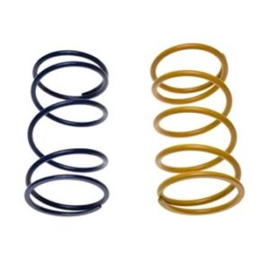 Centralna vzmet za sklopko – Tuning set (2 kosa) za 4T skuterje