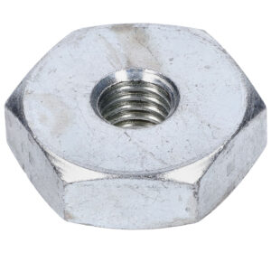 Matica variomata Citta / Ciao / Si