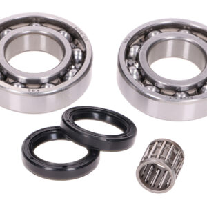 Set ležajev ročične gredi z oljnimi tesnili – Rotax 122, 123