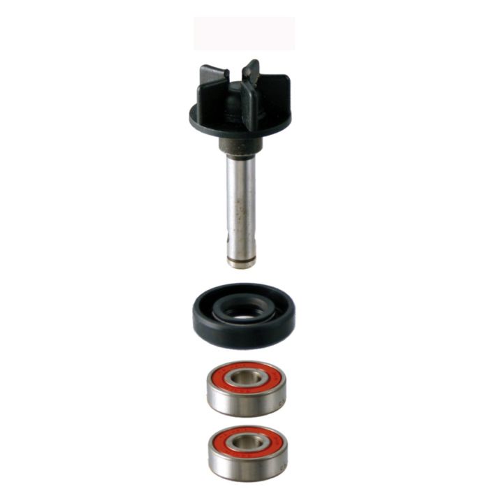 Komplet za obnovo vodne črpalke RMS – Aprilia SR 50 H2O 2T E1 (2000–2004)