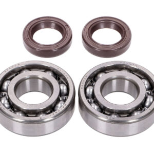 Set ležajev gredi Naraku FKM Heavy Duty C3 – Peugeot Horizontal