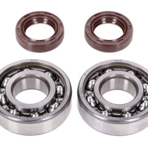 Set ležajev gredi Naraku SKF / FKM Premium C4 – Peugeot Horizontal