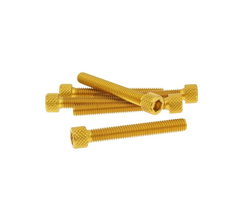 Set imbus vijakov M6x45 mm aluminij zlati – 6 kosov
